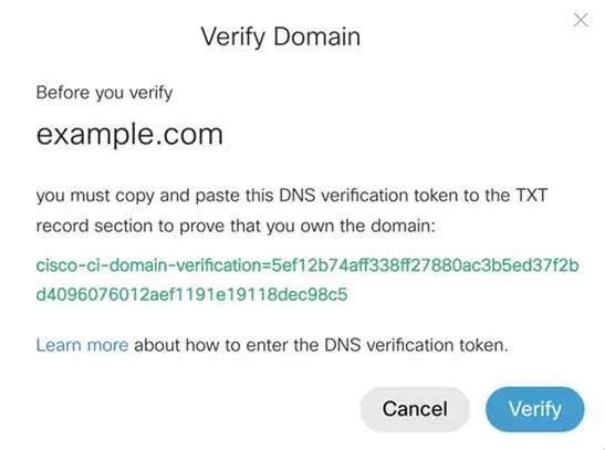 dns server