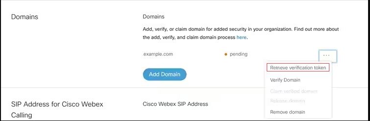 your domain